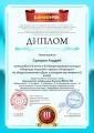 Диплом проекта infourok.ru № Суворин Крылова 823033.jpg